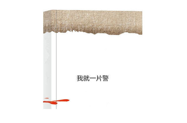 我就一片警 我就一片警