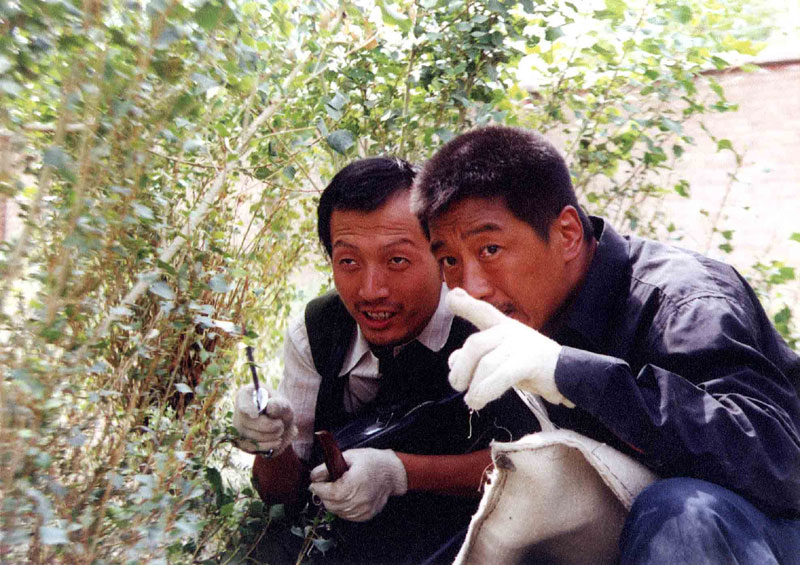 卫晓茼