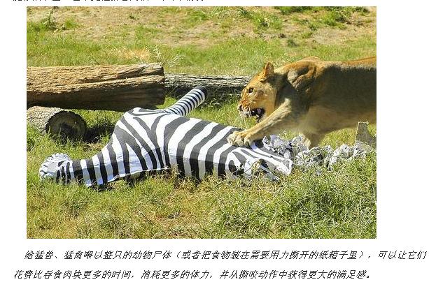 围绕攻击猛兽的行为丰容