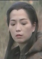 中华英雄(1990年何家劲主演电视剧)