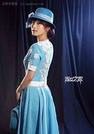 淑女之家(2015年林清振、林龙执导电视剧)