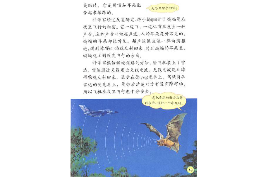 蝙蝠和雷达 蝙蝠和雷达
