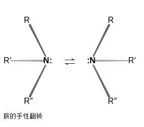 胺的手性翻转