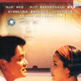 有多少爱可以重来(1999年申亭亭导演中国大陆电视连续剧)
