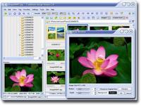 FastStone Image Viewer FastStone Image Viewer