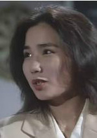 中华英雄(1990年何家劲主演电视剧)