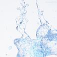 泼水难收