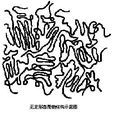 高聚物晶态 高聚物晶态