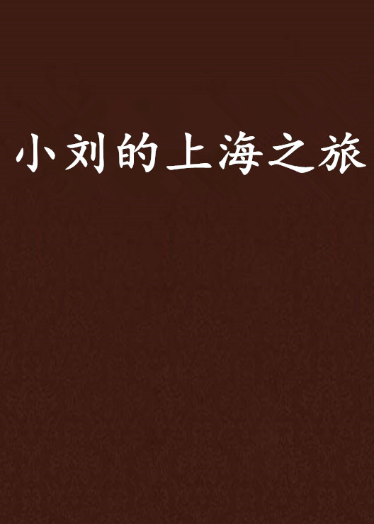 小刘的上海之旅