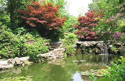 松鹤池 松鹤池
