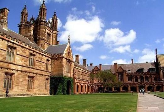 圣保罗天主教大学 圣保罗天主教大学