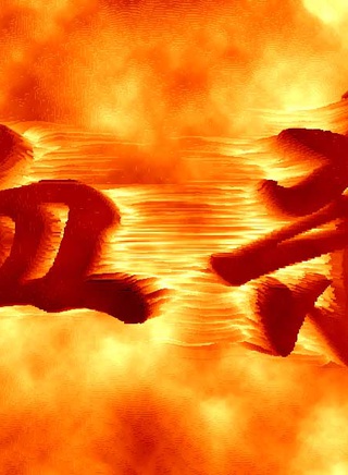 向海岚