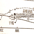 干线