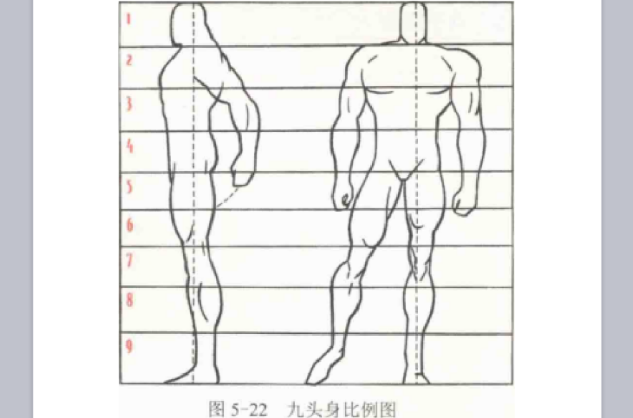 九头身美男
