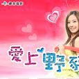 爱上野猪妹(台湾电影) 爱上野猪妹(台湾电影)
