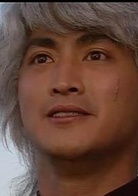 中华英雄(1990年何家劲主演电视剧)