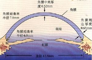 结构 结构
