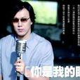你是我的眼(萧煌奇音乐专辑) 你是我的眼(萧煌奇音乐专辑)