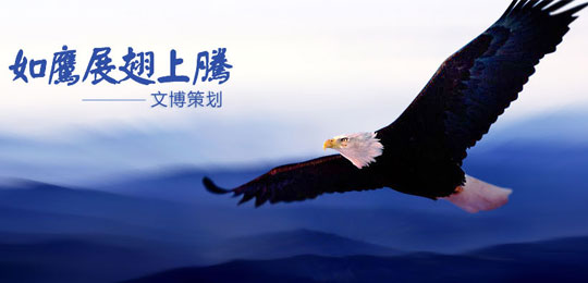文博策划