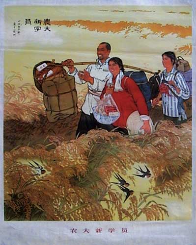 宣传画