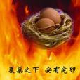 覆巢之下无完卵