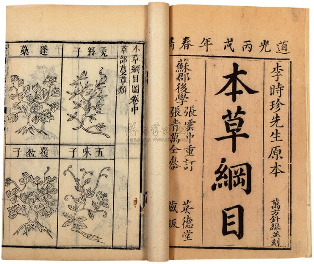本草纲目 本草纲目