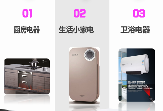 山东小鸭集团有限责任公司