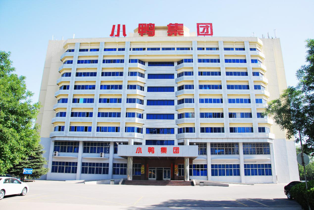 山东小鸭集团有限责任公司