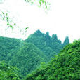 七姊妹山自然保护区