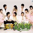 王子变青蛙(2005年陈乔恩,明道主演电视剧) 王子变青蛙(2005年陈乔恩,明道主演电视剧)