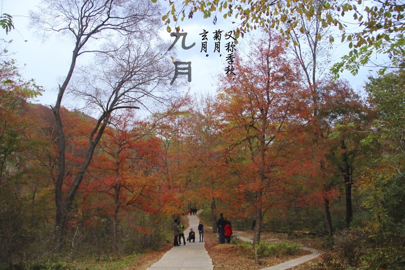 重阳节