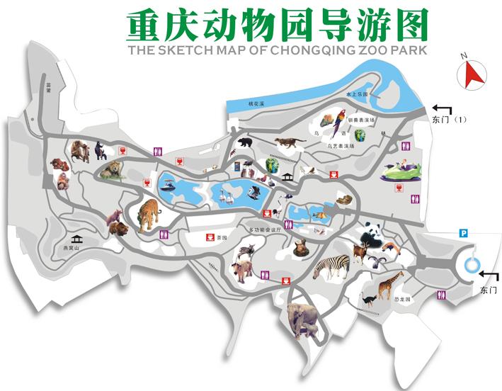 重庆动物园 重庆动物园