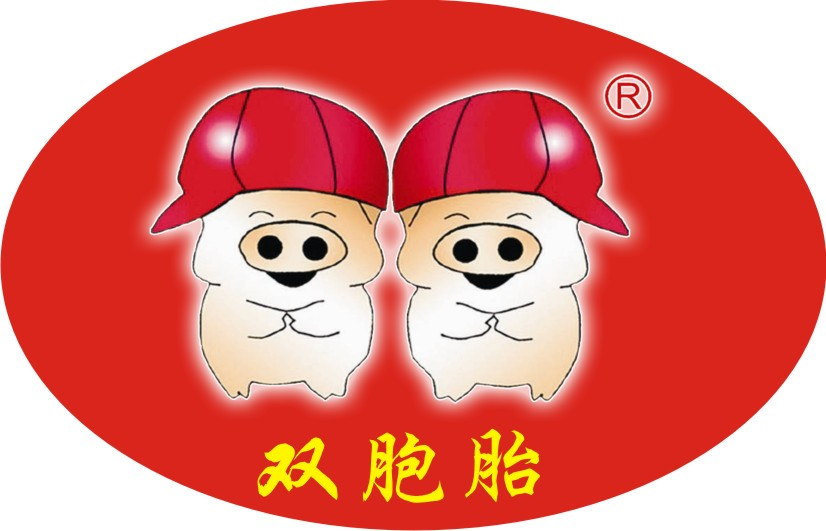 双胞胎集团 双胞胎集团