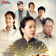 叶落长安(2011年姚晓峰执导电视剧) 叶落长安(2011年姚晓峰执导电视剧)