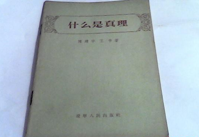 什幺是真理 什幺是真理