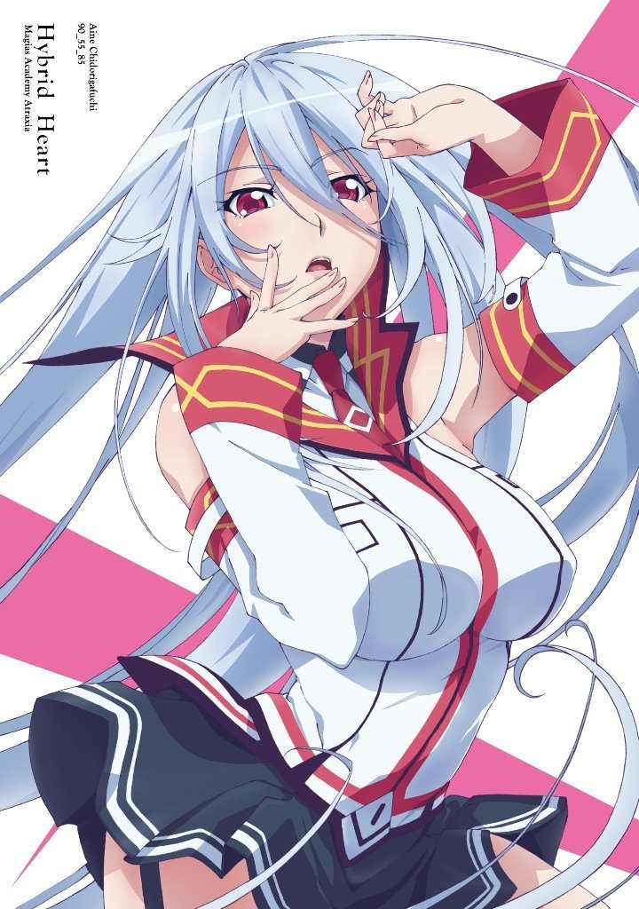 魔装学园H×H(Production IMS改编的电视动画)