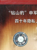 金巧巧