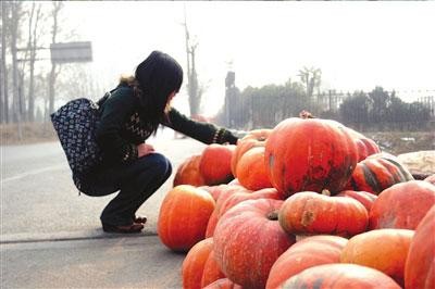 路边风情