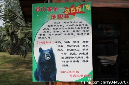 南宁动物园售熊胆粉引争议 南宁动物园售熊胆粉引争议