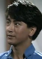 中华英雄(1990年何家劲主演电视剧)