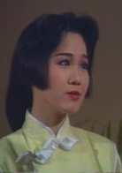 中华英雄(1990年何家劲主演电视剧)