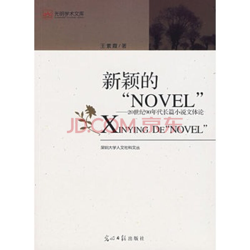 光明学术文库·新颖的NOVEL:20世纪90年度长篇小说文体论