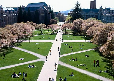 华盛顿大学Quad