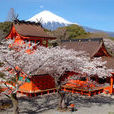 富士山本宫浅间大社 富士山本宫浅间大社