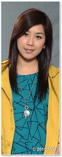 不速之约(2011年林峰、欧阳震华主演电视剧)