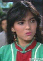 中华英雄(1990年何家劲主演电视剧)