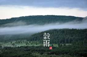 穀雨