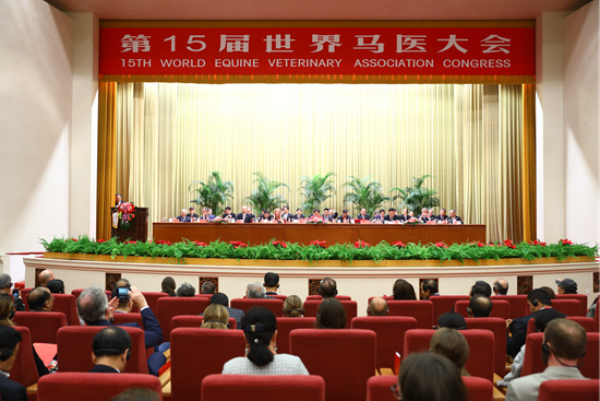 世界马医大会 世界马医大会