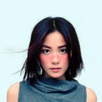红豆(王菲演唱歌曲) 红豆(王菲演唱歌曲)
