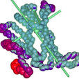 高分子化合物(高分子) 高分子化合物(高分子)